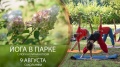 Йога в парке Сокольники 9 августа