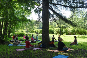 Занятие в парке Сокольники с Йоги Алламанатхом, июнь 2017